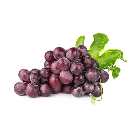 Grape Juice Concentrate | Best Natural Concentrate Suppliers in the World