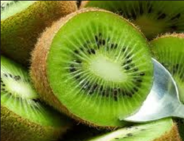 Kiwi Concentrate Wholesale at best Price 