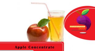 Apple Juice Concentrate Price